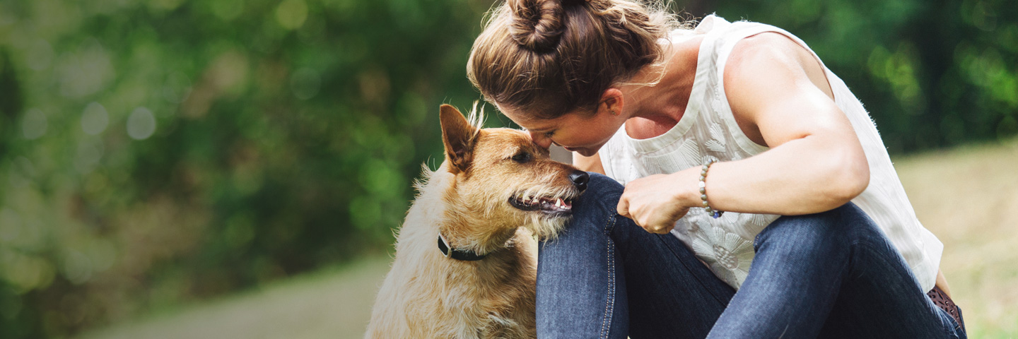 DogWatch of the Eastern Shore, Centreville, Maryland | BarkCollar No-Bark Trainer Slider Image