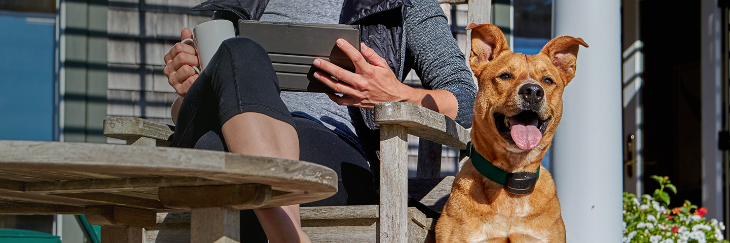 DogWatch of the Eastern Shore, Centreville, Maryland | Outdoor Hidden Dog Fences Slider Image